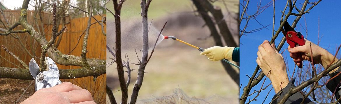Ранньовесняні роботи в саду