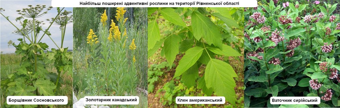 Тисяча і один спосіб перетнути кордон