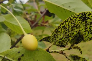 IMG_20230608_104728.jpg