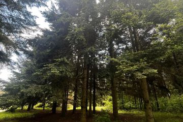 343164700_110002122095047_1208807345621474315_n.jpg