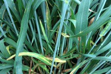 IMG_2193.JPG