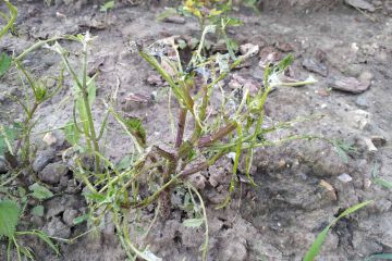20200813_135511.jpg