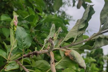 IMG_20230608_104831.jpg