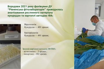 fc50d127b5514647d4d147b69dc84da21lN3ojcvswj7mFZG-21.jpg