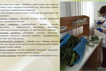 fc50d127b5514647d4d147b69dc84da21lN3ojcvswj7mFZG-14.jpg