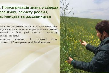 fc50d127b5514647d4d147b69dc84da21lN3ojcvswj7mFZG-39.jpg