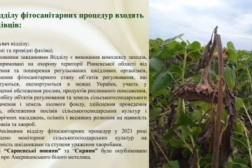 fc50d127b5514647d4d147b69dc84da21lN3ojcvswj7mFZG-24.jpg