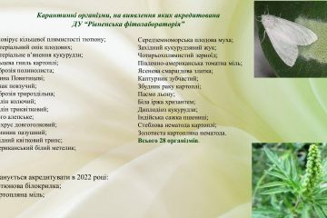 fc50d127b5514647d4d147b69dc84da21lN3ojcvswj7mFZG-9.jpg