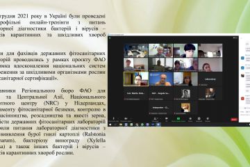 fc50d127b5514647d4d147b69dc84da21lN3ojcvswj7mFZG-31.jpg