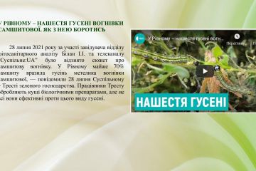fc50d127b5514647d4d147b69dc84da21lN3ojcvswj7mFZG-40.jpg