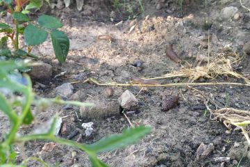 20200813_135443.jpg