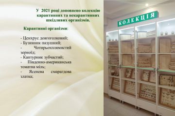 fc50d127b5514647d4d147b69dc84da21lN3ojcvswj7mFZG-22.jpg