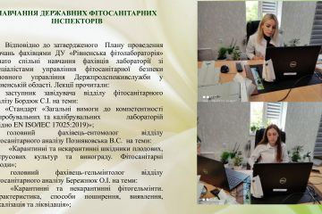 fc50d127b5514647d4d147b69dc84da21lN3ojcvswj7mFZG-32.jpg