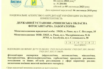 201181_Атестат-16.08.2022.jpeg