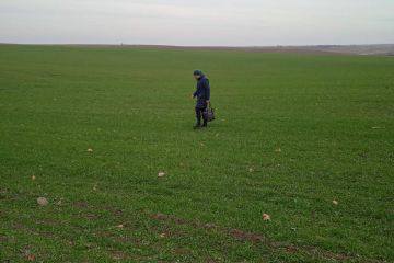IMG-1b388700117b8eabe05b3d37b0948cee-V.jpg