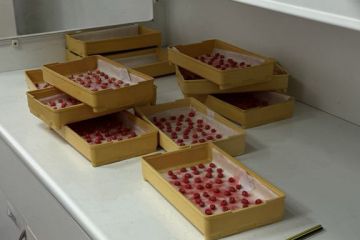 518284501_1053884830184696_5705930365665513727_n.jpg