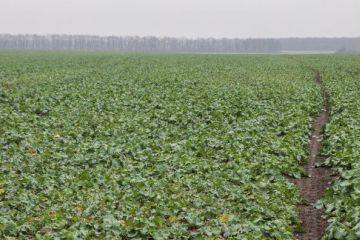 Agro-Eko_Plus05-7931-37732.jpg