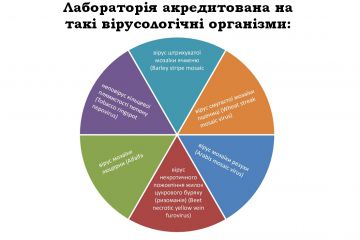 Новий-Презентація-Microsoft-PowerPoint.jpg