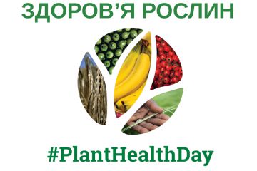 Картинка для новини на вебпорталі.png