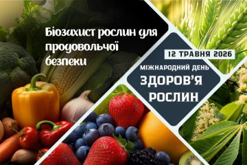 Банер.jpg