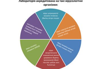 Новий-Презентація-Microsoft-PowerPoint.jpg