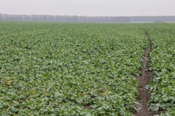 Agro-Eko_Plus05-7931-37732.jpg
