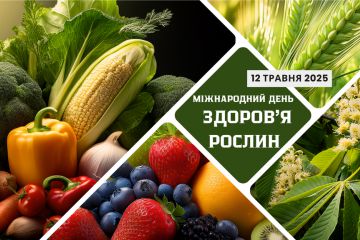 Банер 3 .png