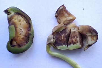 image6.jpg